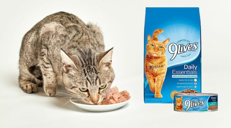 9 Lives Cat Food Review: A Deep Dive into Nutritional Value and Affordability