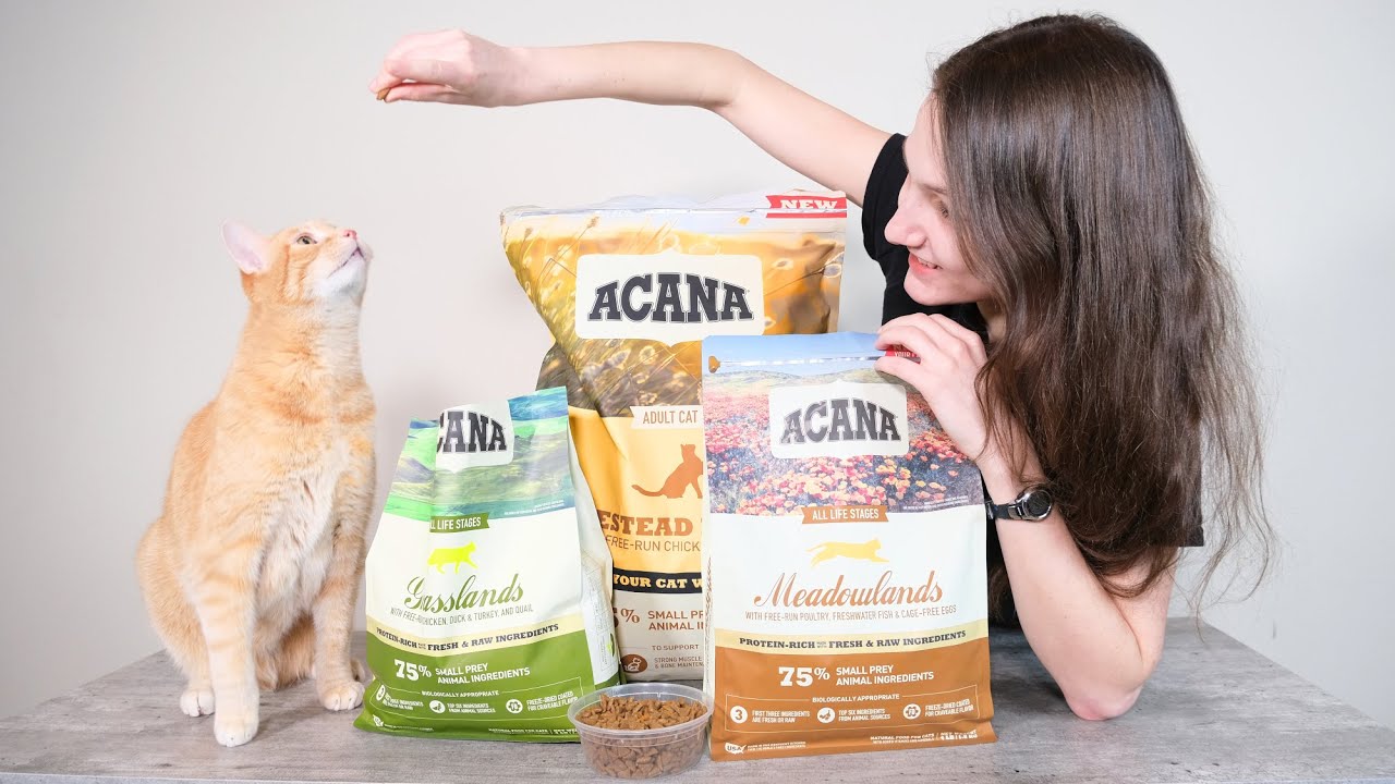 Acana cat food