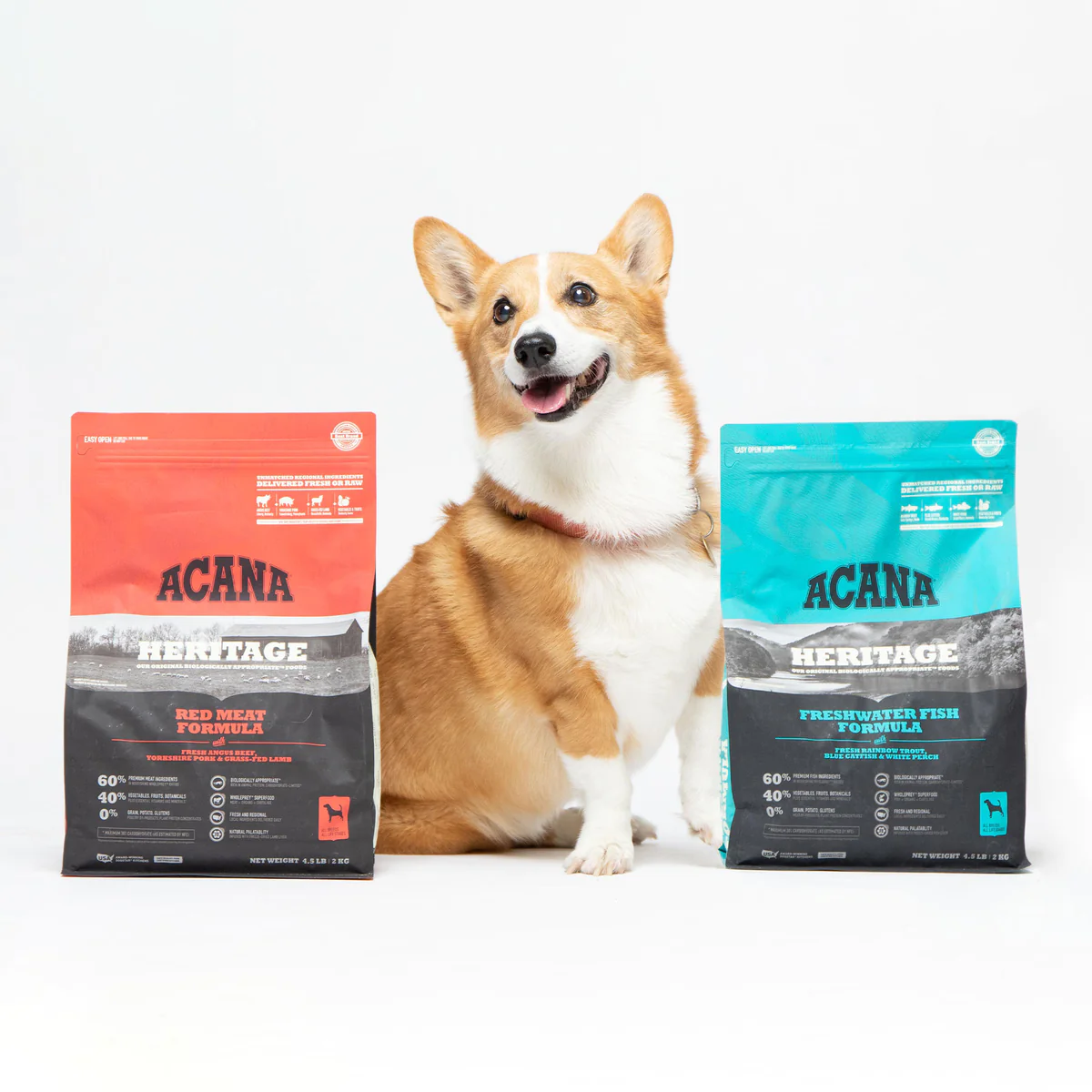 Acana Dog Food