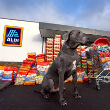 Aldi Dog Food Review