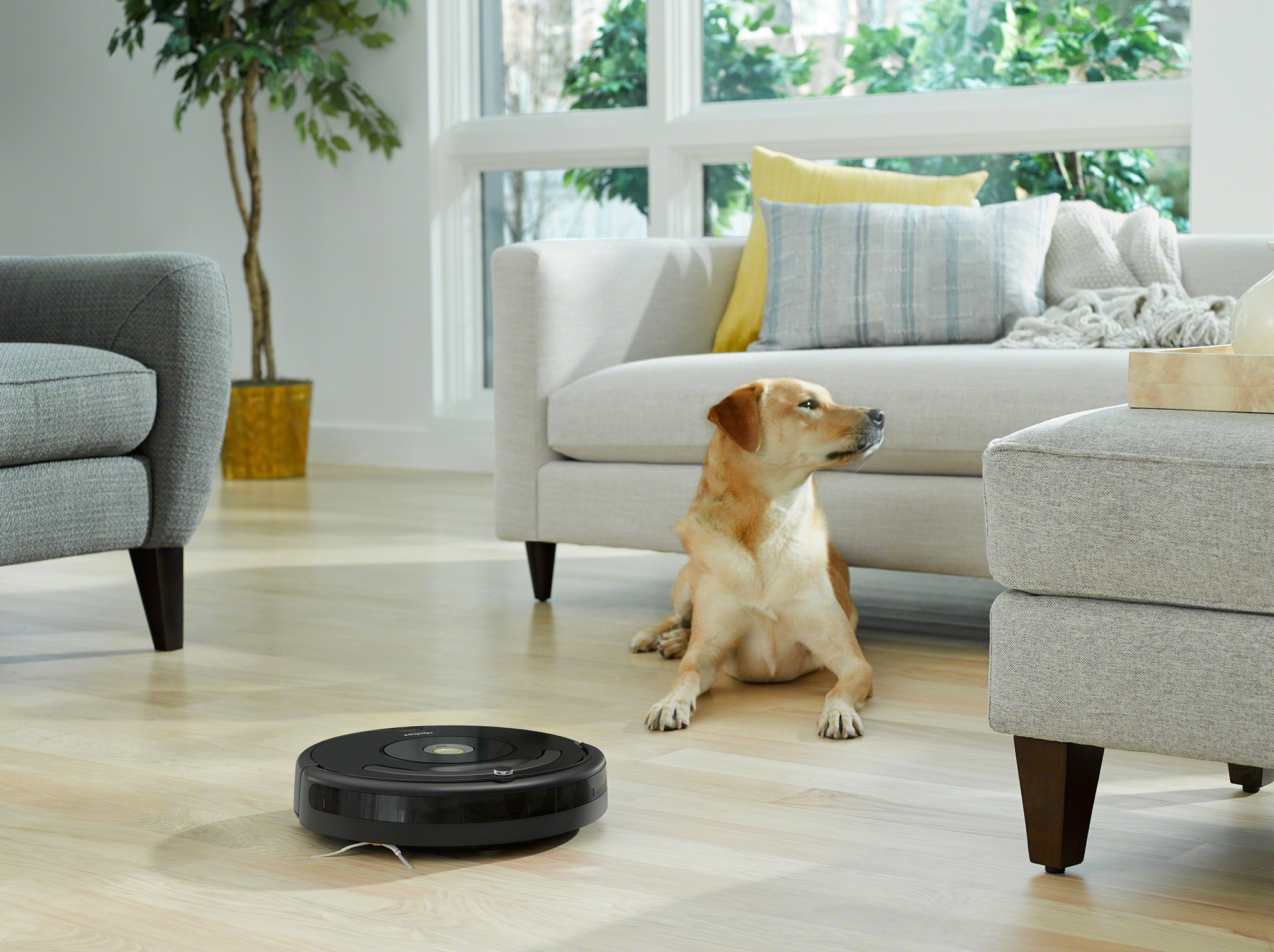 Vacuum Cleaners for Pet Hair