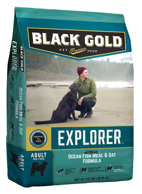 Black Gold Dog Food Review