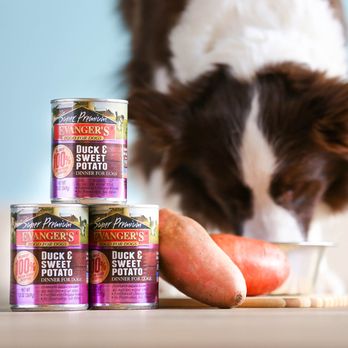 Evanger's Dog Food Review