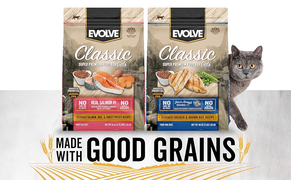 Evolve Cat Food Review