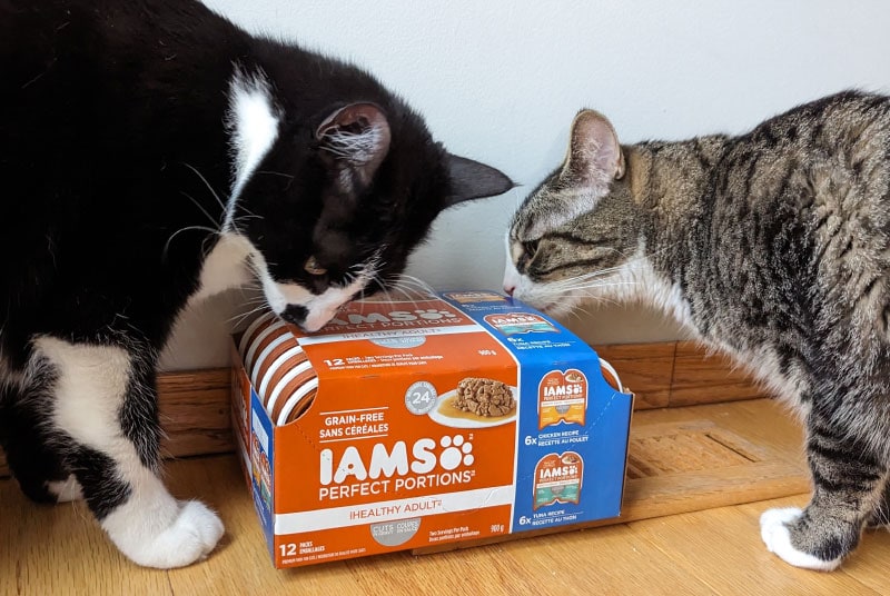 Iams cat food