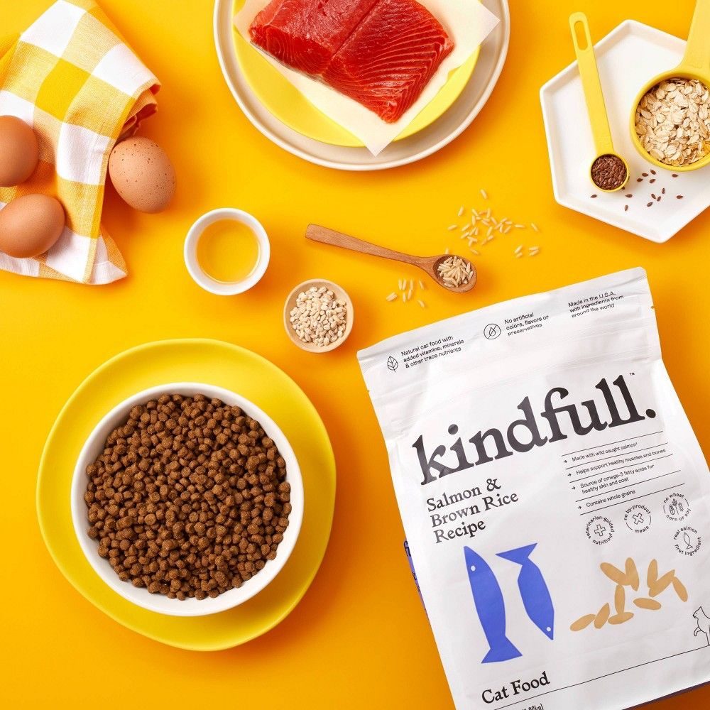 Kindfull Cat Food Review: Nurturing Feline Health with Quality Nutrition