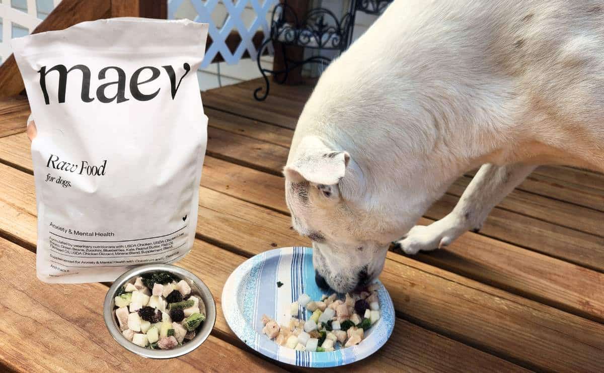 Maev Dog Food