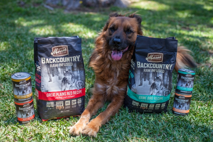 Merrick Dog Food Review