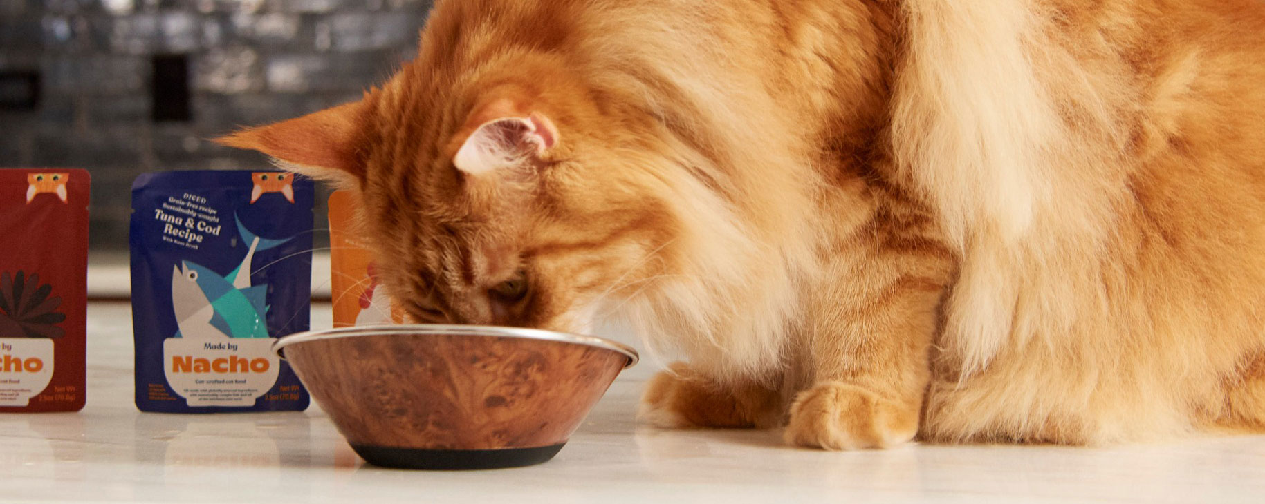 Nacho Cat Food Review: A Fresh Take on Feline Nutrition