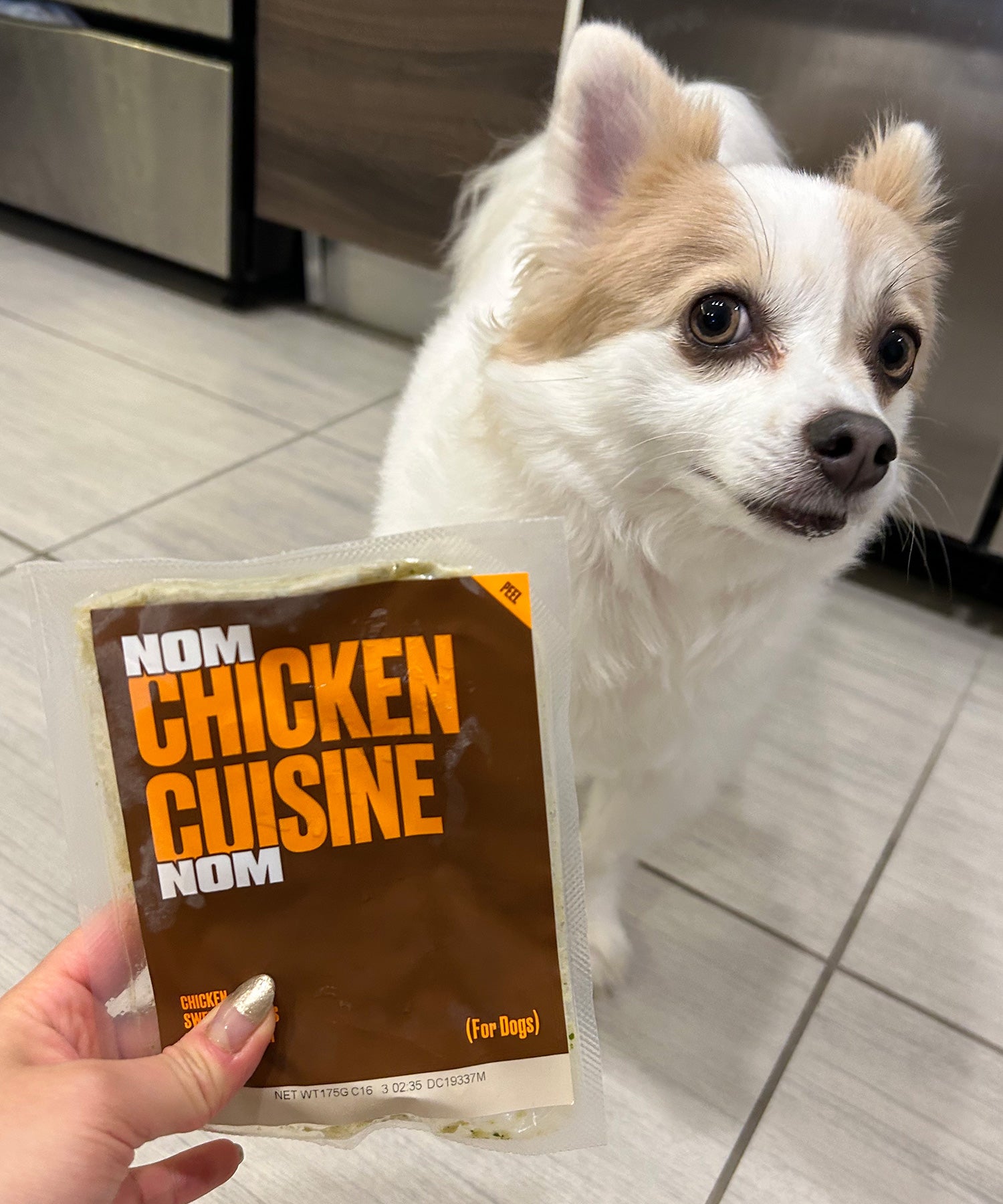 Nom Nom Dog Food Review