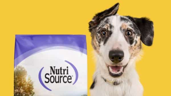 NutriSource Dog Food