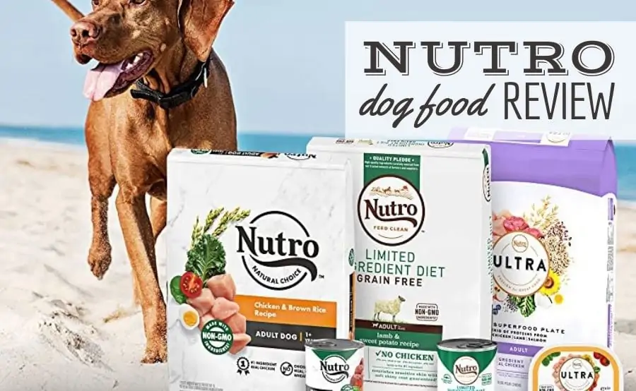 Nutro dog food