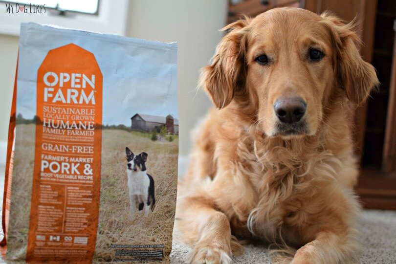 Open Farm Dog Food