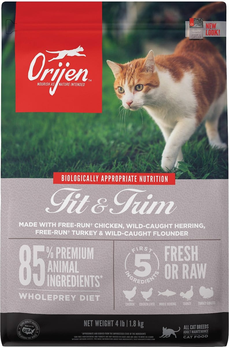 Orijen Cat Food Review: A Deep Dive into Premium Feline Nutrition