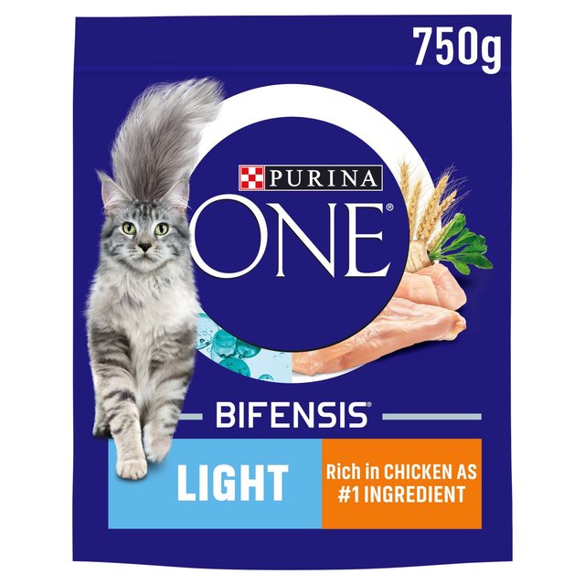 Purina ONE Cat Food