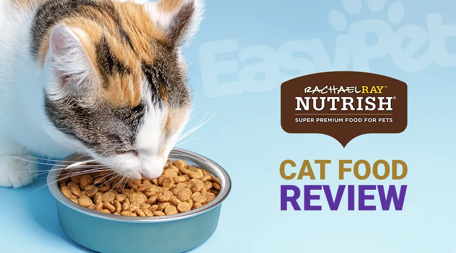 Rachael Ray Cat Food Review: A Comprehensive Look at Quality and Nutrition