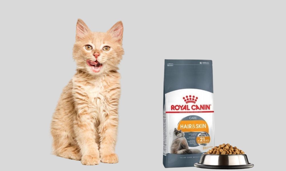 Royal Canin Cat Food