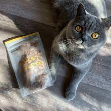 Smalls Cat Food Unleashed: Luna’s Culinary Adventure