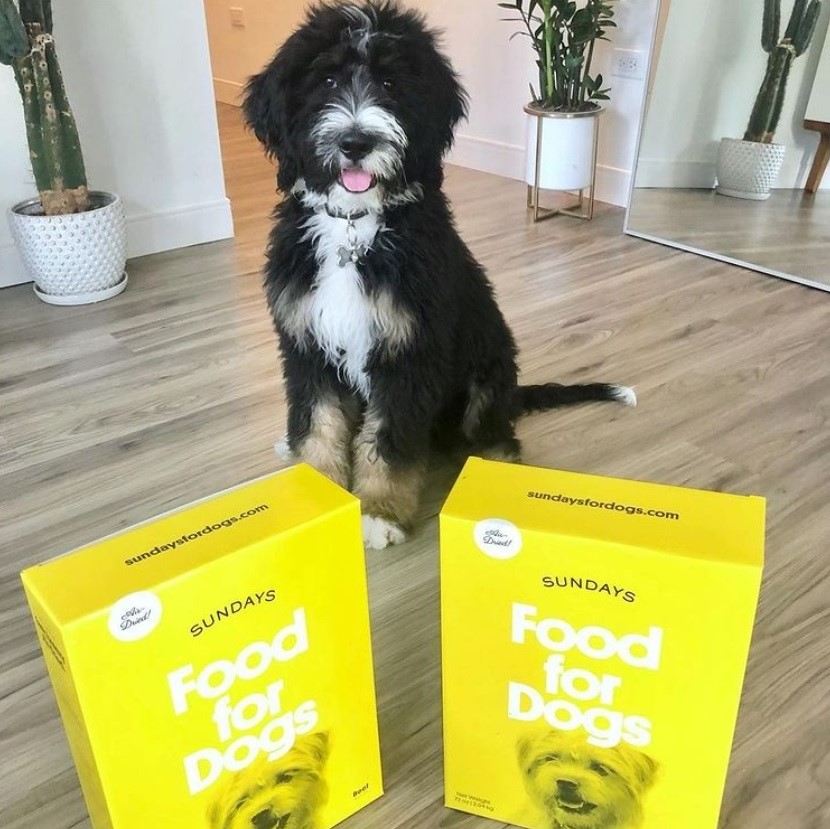 Sunday Dog Food Review