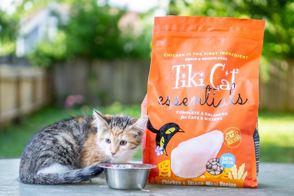 Tiki Cat Dry Food Review