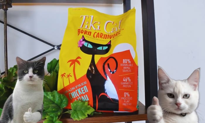 Tiki Cat Food Review