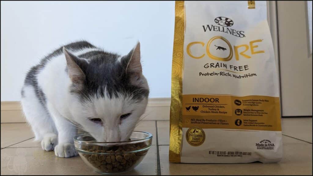 Wellness Core Cat Food Review: Elevating Feline Wellness Through Premium Nutrition