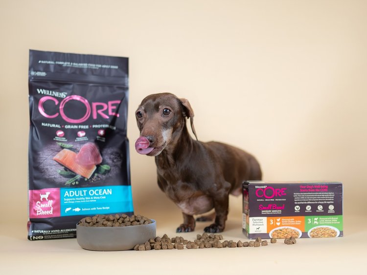 Wellness CORE Dog Food