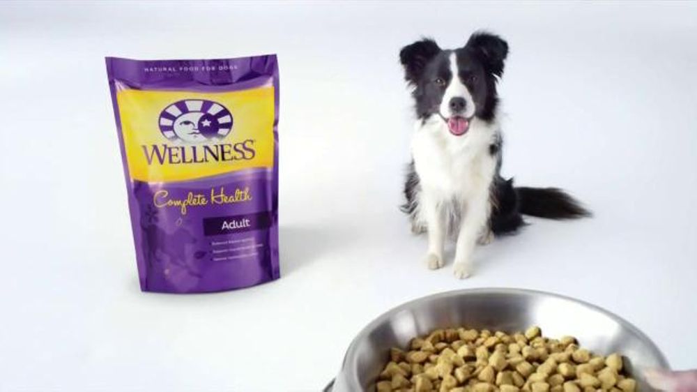 Wellness Dog Food