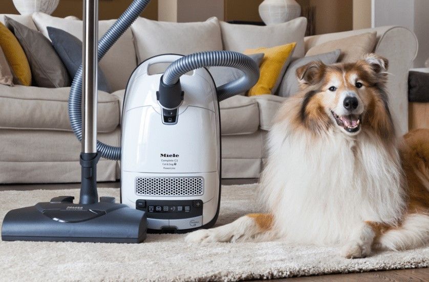 Best Canister Vacuum for Pet Hair