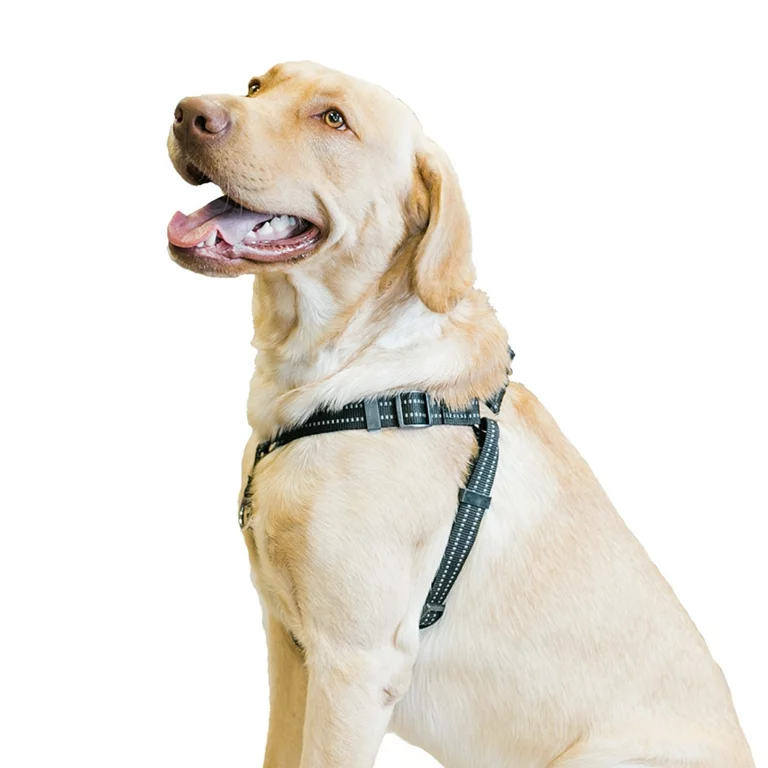 Best Dog Harness for Walking