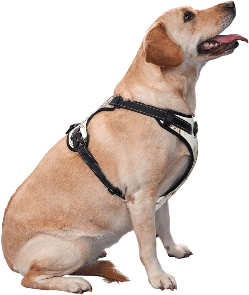 Best Dog Training Harness