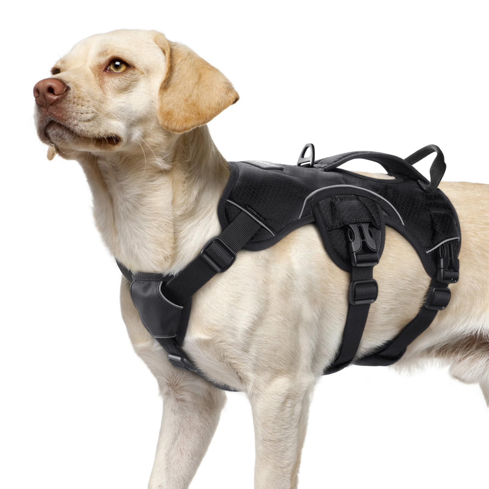 Best Escape Proof Dog Harness