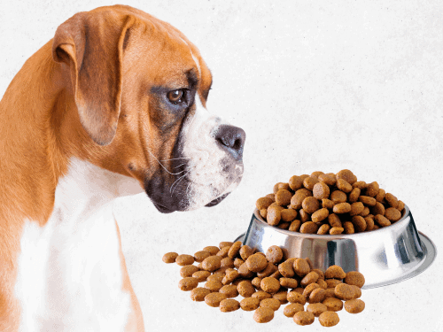 Best Dog Food for Boxers in 2024: Robust Nutrition for Energetic Boxers