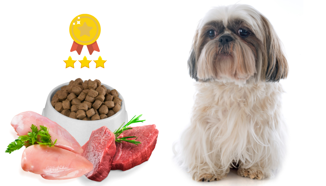 Best Dog Food for Shih Tzus in 2024