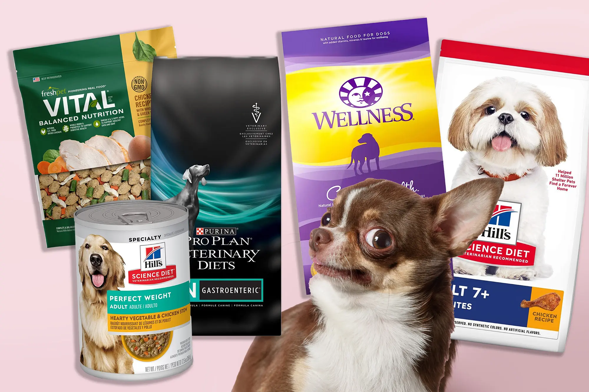 Best Dry Dog Food: Unveiling the Top Choices for Optimal Canine Health