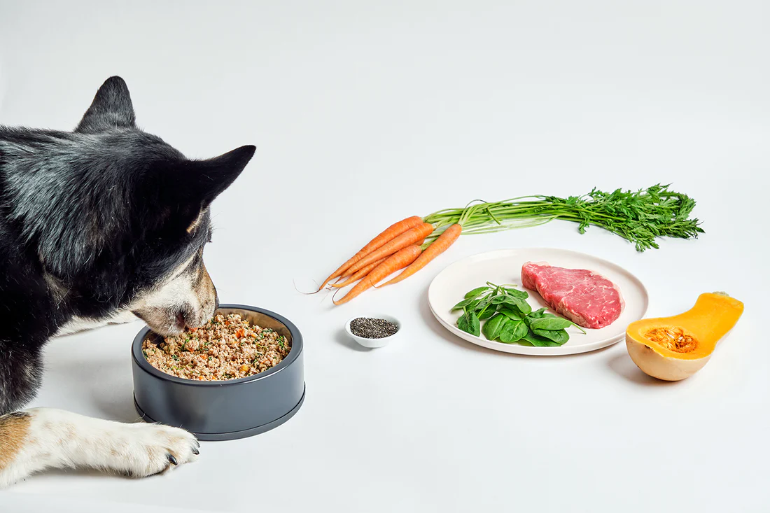 Best Natural Dog Food in 2024