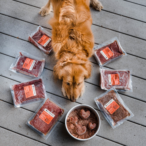 Best Raw Dog Food in 2024: Finding The Raw Truth