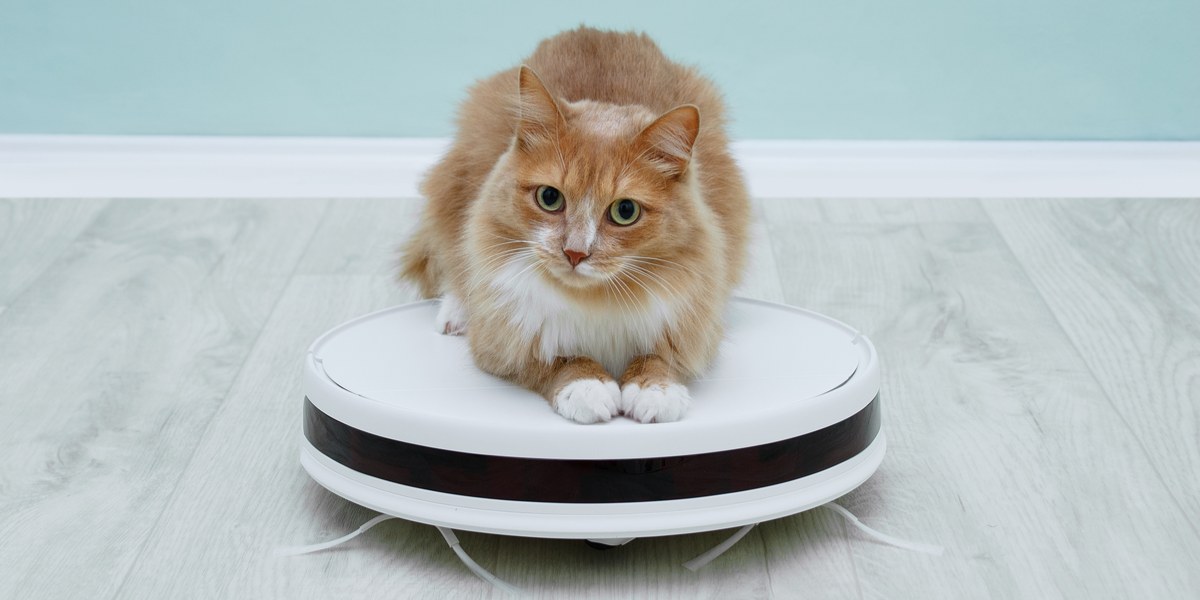 Effortless Pet Hair Cleanup: Discovering the Top 5 Robot Vacuums of 2024