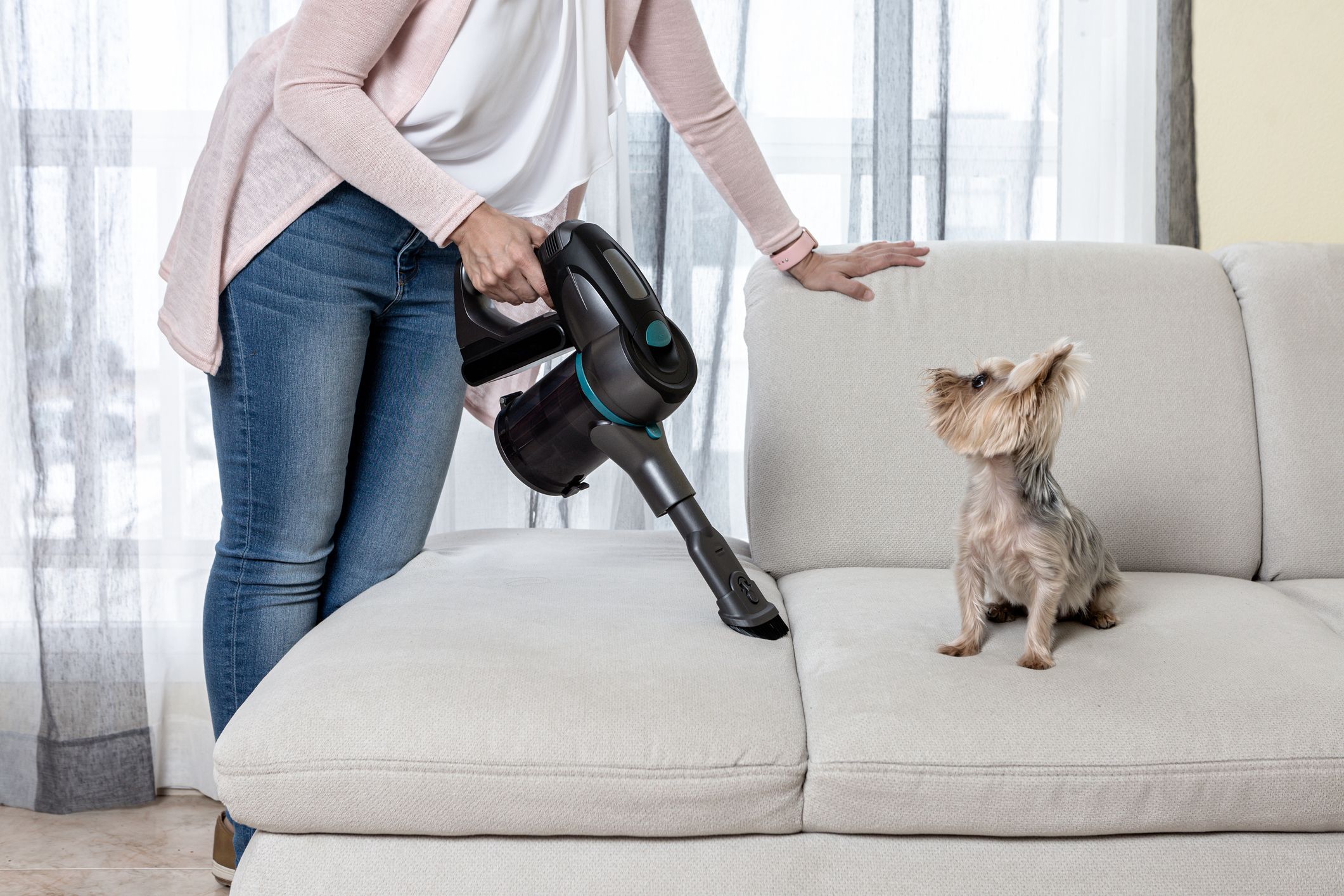 Best Vacuum for Pet Hair and Allergens