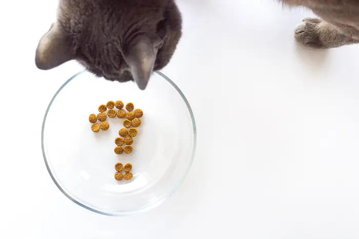 How Long Can Wet Cat Food Sit Out? Understanding Safety and Freshness
