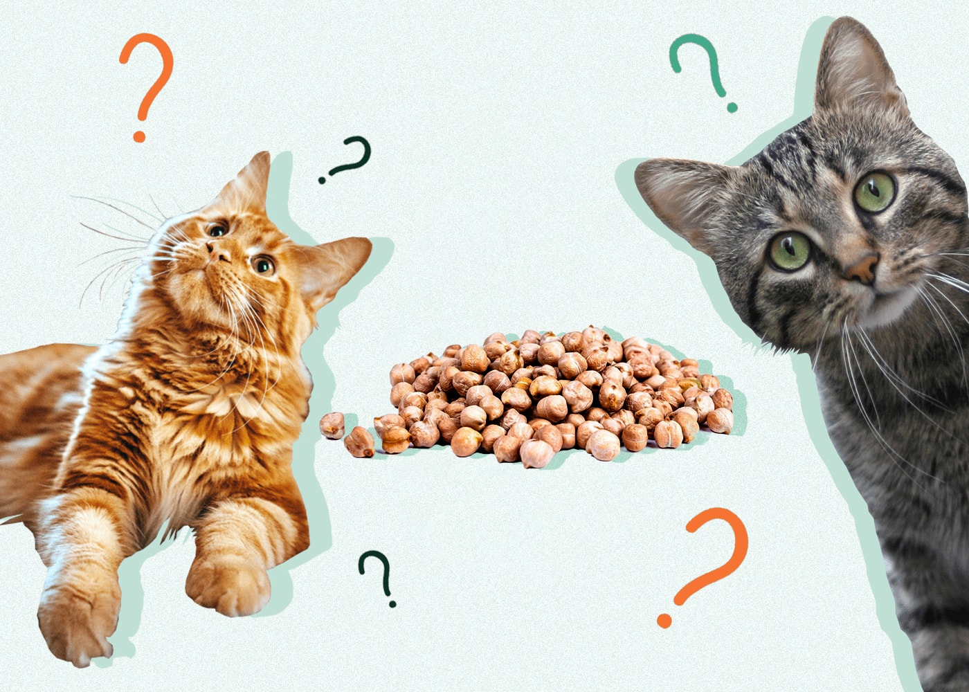 what can cats eat besides cat food